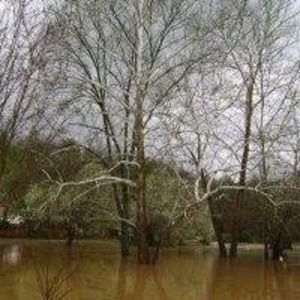 Meet your Posher, Johnanna